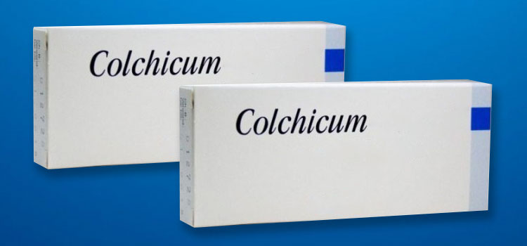 Colchium