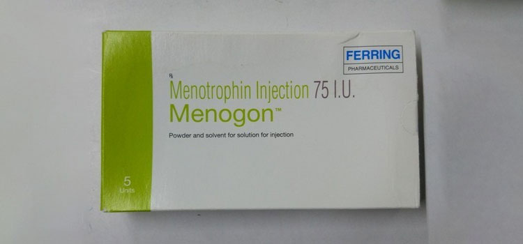 Menogon